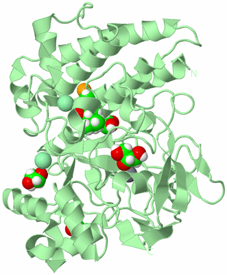 Image Biological Unit 2