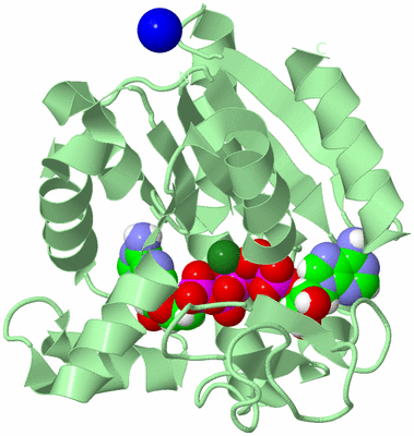 Image Biological Unit 2