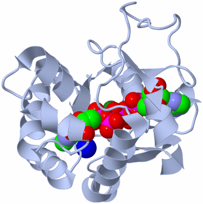 Image Biological Unit 1