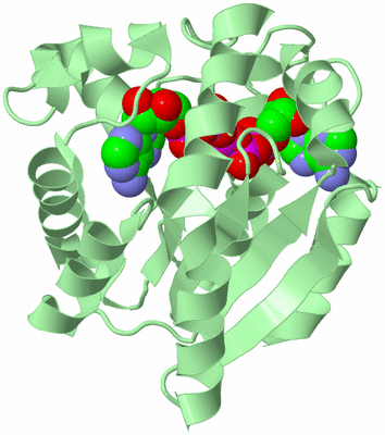 Image Biological Unit 2