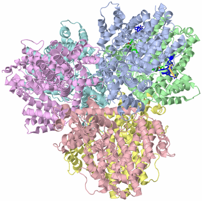 Image Asym./Biol. Unit - sites