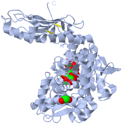 Image Biological Unit 1