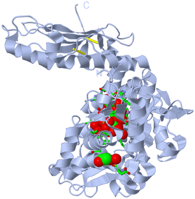 Image Biol. Unit 1 - sites