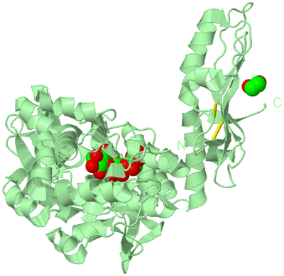 Image Biological Unit 2