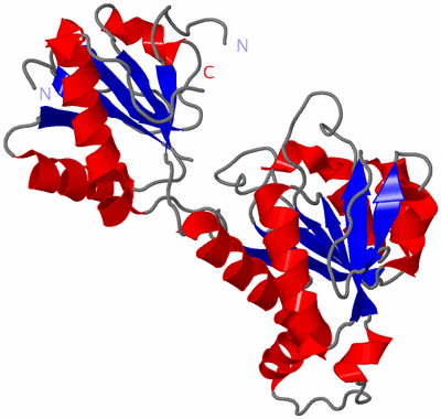Image Asymmetric Unit