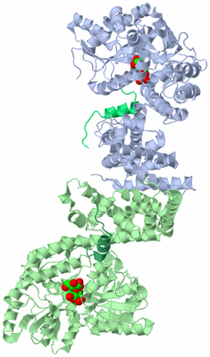 Image Asym./Biol. Unit