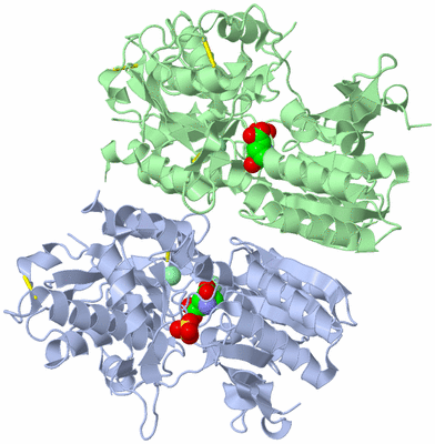 Image Asym./Biol. Unit