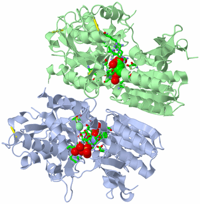 Image Asym./Biol. Unit - sites