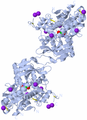 Image Biological Unit 1