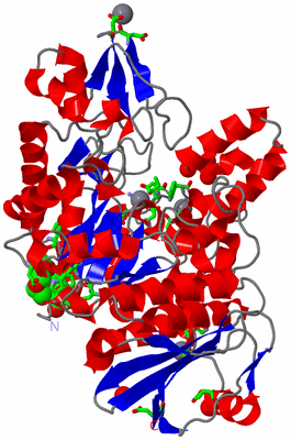 Image Asym./Biol. Unit - sites