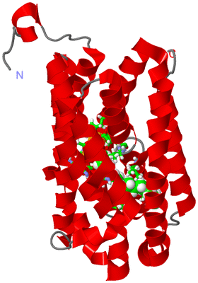 Image Asym. Unit - sites