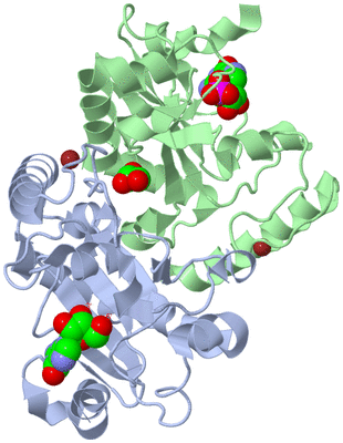 Image Asym./Biol. Unit