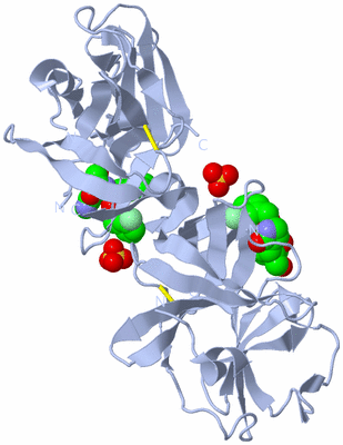 Image Biological Unit 2