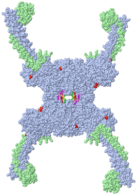 Image Biological Unit 1