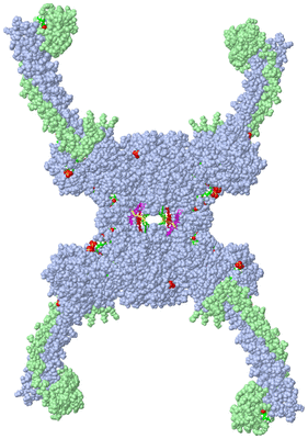 Image Biol. Unit 1 - sites