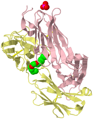 Image Biological Unit 3