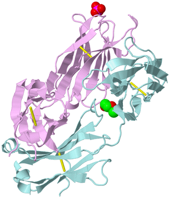 Image Biological Unit 4