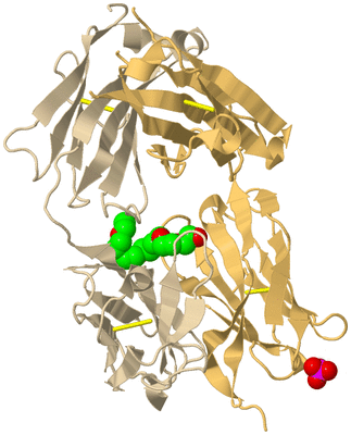 Image Biological Unit 5