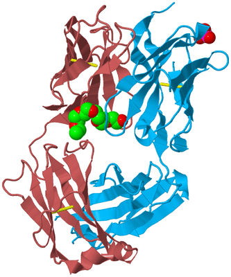 Image Biological Unit 6