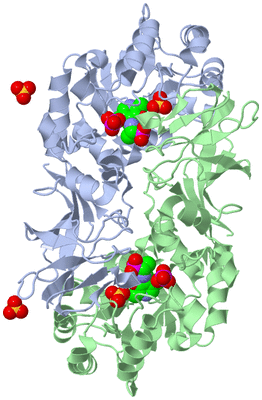 Image Biological Unit 1