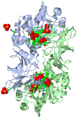 Image Biol. Unit 1 - sites