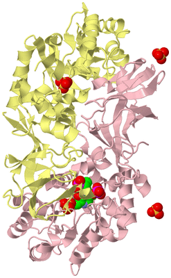 Image Biological Unit 2