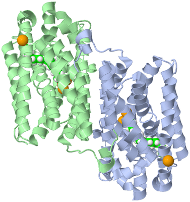 Image Asym./Biol. Unit