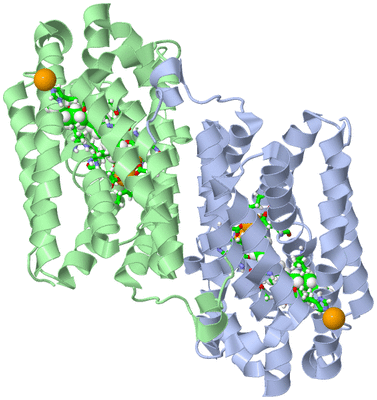 Image Asym./Biol. Unit - sites