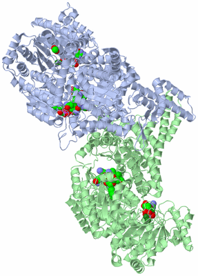 Image Asym./Biol. Unit