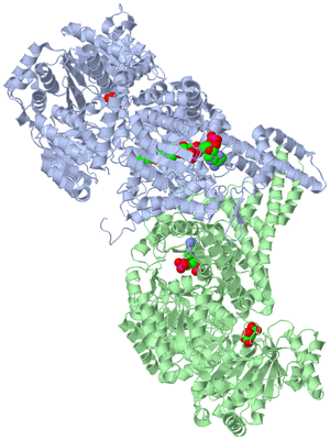 Image Asym./Biol. Unit