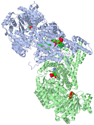 Image Asym./Biol. Unit - sites