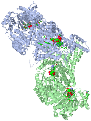 Image Asym./Biol. Unit - sites