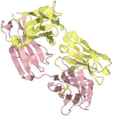 Image Biological Unit 3