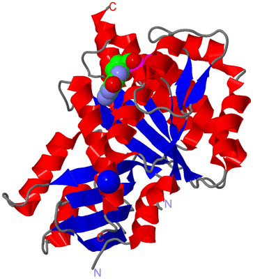 Image Asym./Biol. Unit