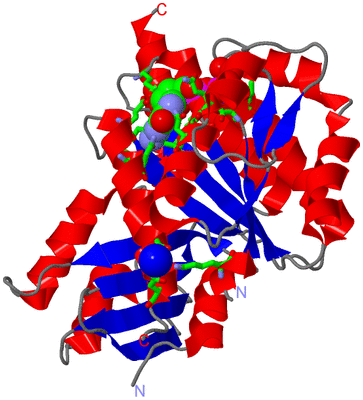 Image Asym./Biol. Unit - sites