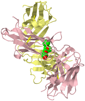 Image Biological Unit 3