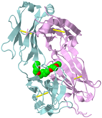 Image Biological Unit 4