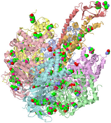 Image Asym./Biol. Unit