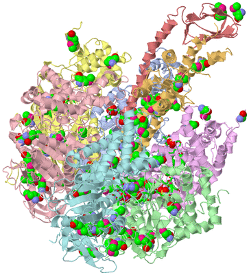 Image Asym./Biol. Unit - sites