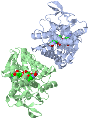 Image Biological Unit 1