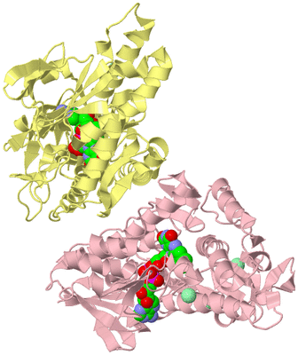 Image Biological Unit 2