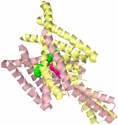 Image Biological Unit 2