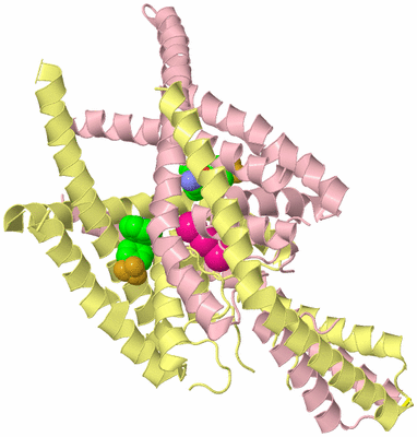 Image Biological Unit 2