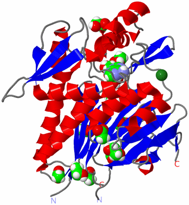 Image Asym./Biol. Unit