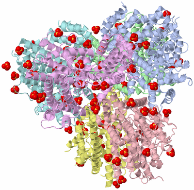 Image Asym./Biol. Unit