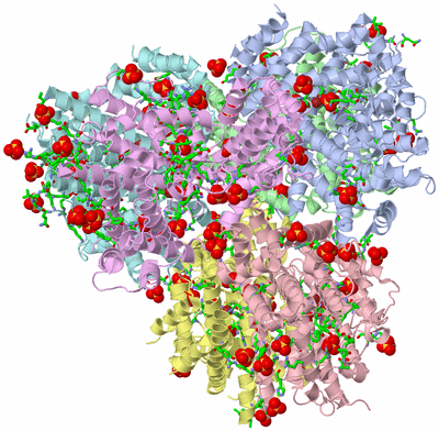 Image Asym./Biol. Unit - sites