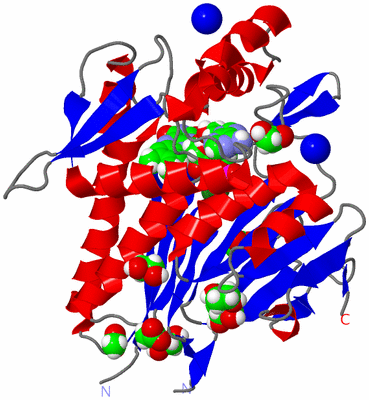 Image Asym./Biol. Unit