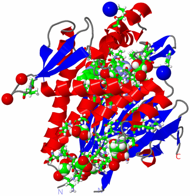 Image Asym./Biol. Unit - sites