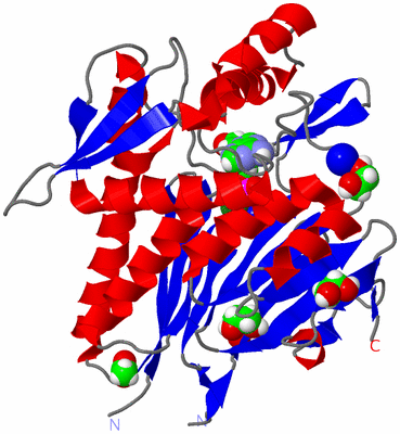 Image Asym./Biol. Unit