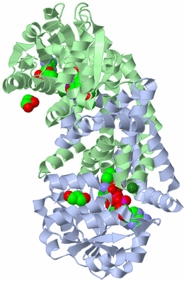 Image Asym./Biol. Unit